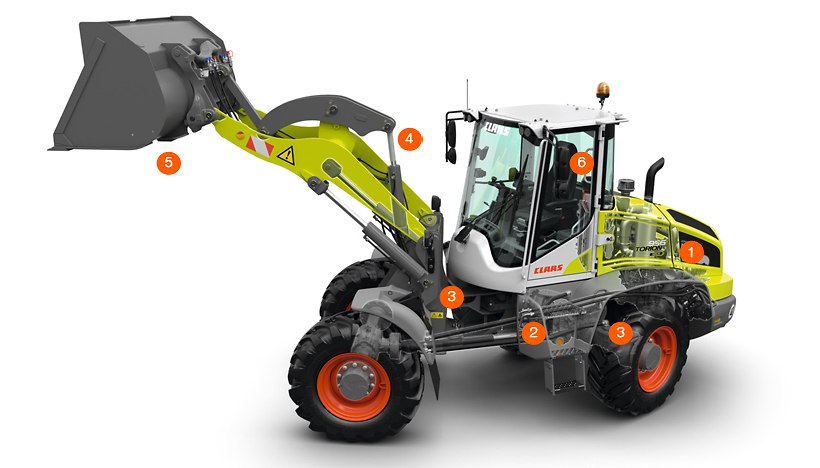 TORION SINUS TORION SINUS