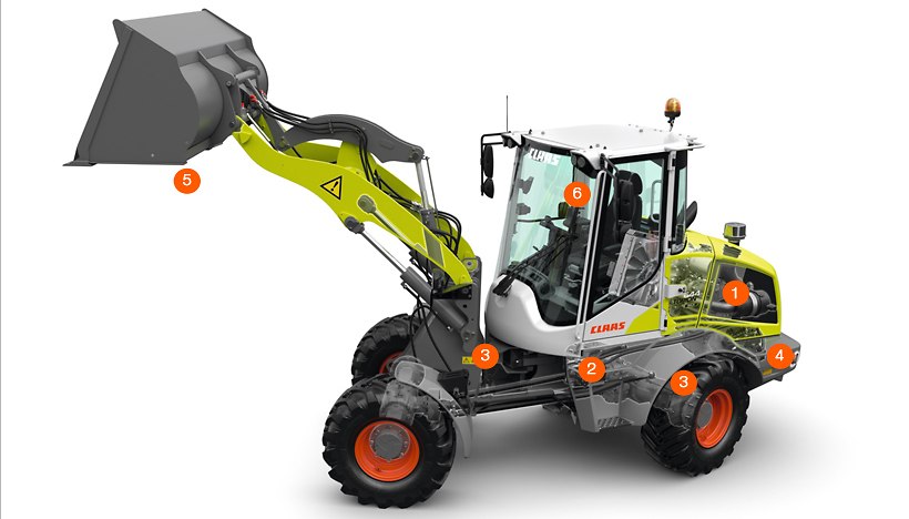 TORION SINUS TORION SINUS