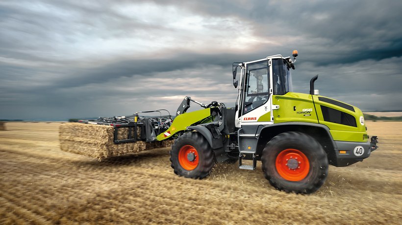 TORION SINUS TORION SINUS