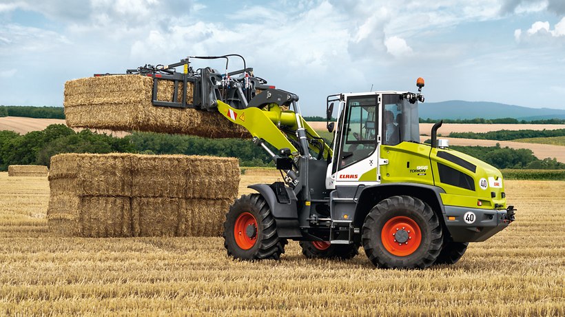 TORION SINUS TORION SINUS