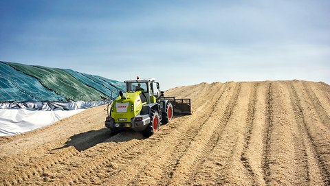 TORION medium series