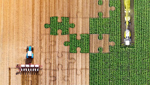 Solutions numériques